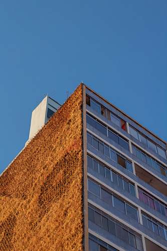 office building low angle photo of high-rise building architecture